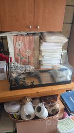 Terrarium tartarughe acquatiche