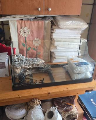 Terrarium tartarughe acquatiche