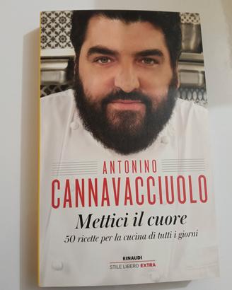 libro mettici il cuore Antonino Cannavacciuolo 