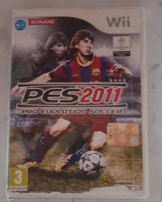 Gioco per la Wii