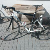 bici da strada Specialized tg L 
