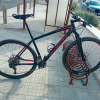 MTB Specialized