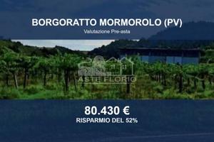 Immobile in asta di 42610 m² a Borgoratto Mormorol