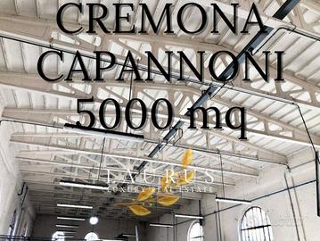Immobile di 5000 m² a Azzanello