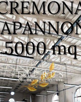 Immobile di 5000 m² a Azzanello