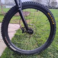 Coppia Maxxis 29" Assegai Dissector