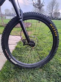 Coppia Maxxis 29" Assegai Dissector