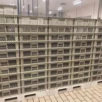 Cassette in plastica impilabili per alimenti