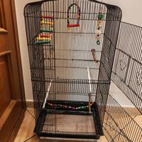 gabbia pappagalli calopsiti cocorite