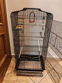 gabbia pappagalli calopsiti cocorite