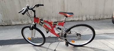 Mountain bike ragazzo 