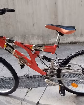 Mountain bike ragazzo 
