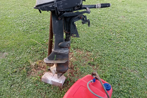 Motore nautico fuoribordo