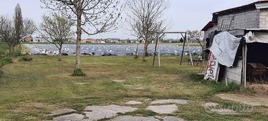 Terreno agricolo con irrigazione