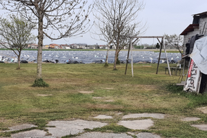 Terreno agricolo con irrigazione