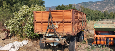 Carrello omologato ribaltabile