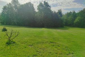 Terreno Agricolo a Fontanafredda