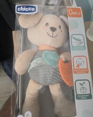 orsetto Chicco
