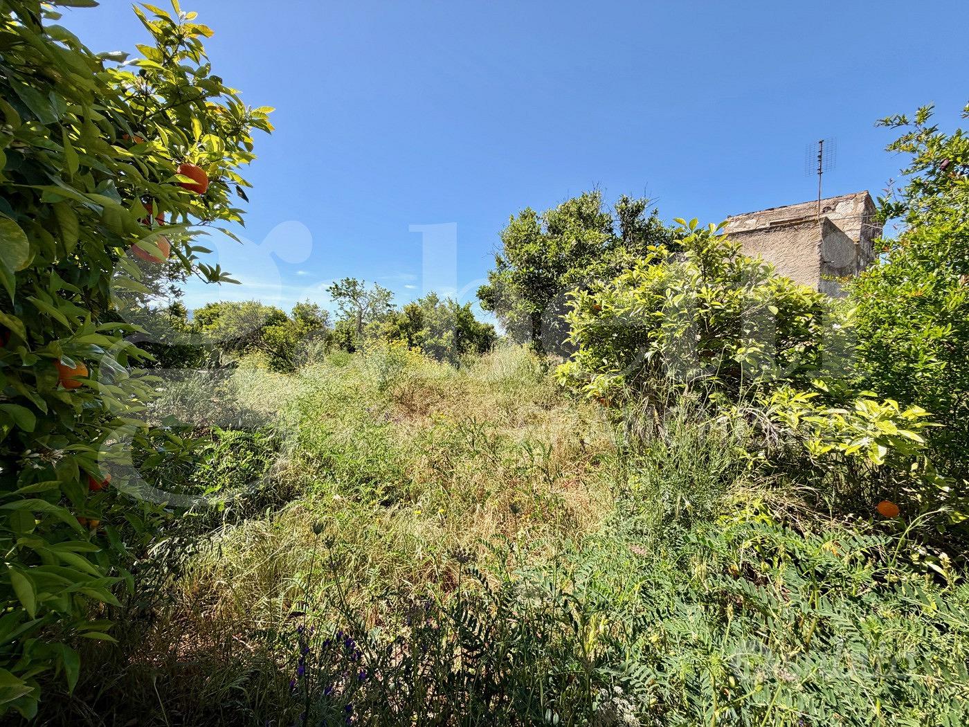Rustico/Casale/Corte Vittoria - Vista 5