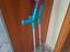 Immagine 2
