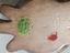 Immagine 6