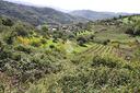 ter-agricolo-a-agropoli