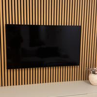 TV LG OLED 55 POLLICI