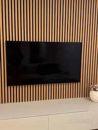 TV LG OLED 55 POLLICI