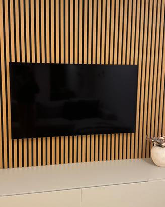 TV LG OLED 55 POLLICI