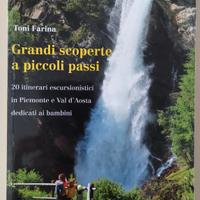 Libro Grandi scoperte a piccoli passi 