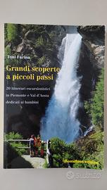 Libro Grandi scoperte a piccoli passi 