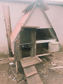 Gabbia per galline e polli