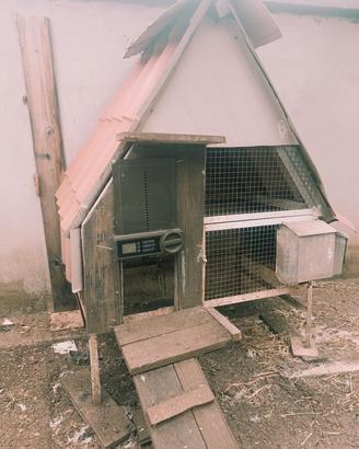 Gabbia per galline e polli