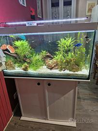 Acquario 200L