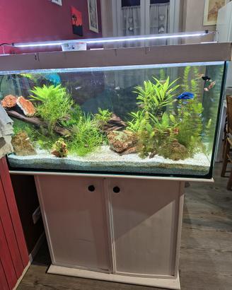 Acquario 200L