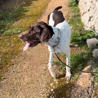 Duce 2 anni taglia grande