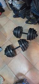 pesi palestra 15kgx 2 manubri 