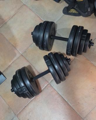 pesi palestra 15kgx 2 manubri 