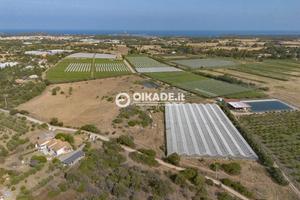 Pula Loc. Fra Millano - Ampio terreno agricolo