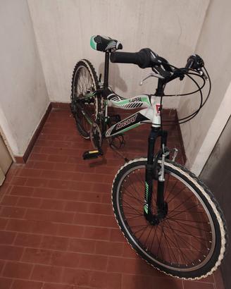 bicicletta ragazzo