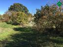 ter-agricolo-a-santeramo-in-colle