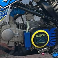 Motore pitbike 125 yx
