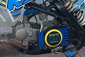 Motore pitbike 125 yx