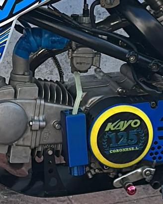 Motore pitbike 125 yx