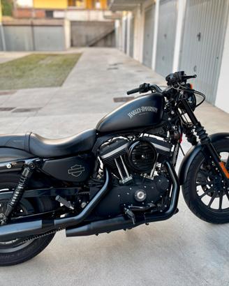 Harley davidson 883 Iron