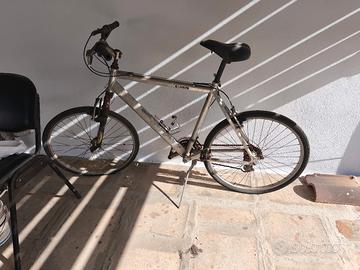 bicicletta