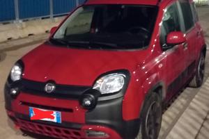 panda 