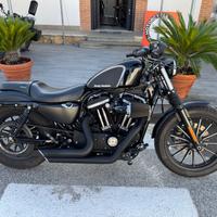 Harley-davidson sportster 883 Iron 2016