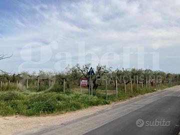 Terreno Residenziale San Severo