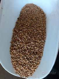 Nocciolino di olive per caldaie biomassa